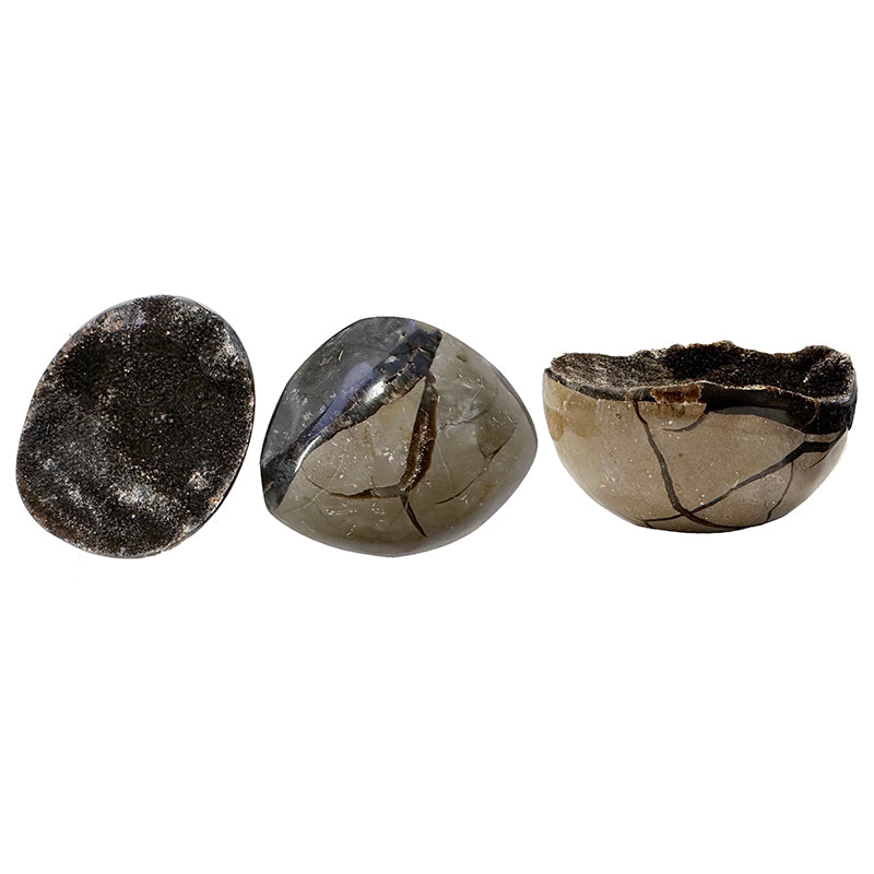 Galet poli Septaria sauvage