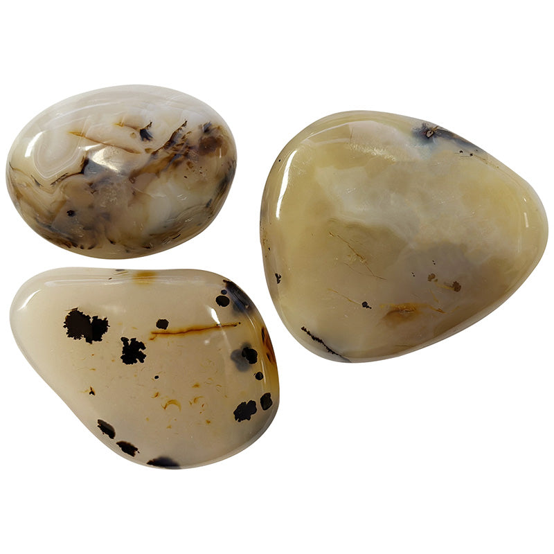 Galet poli Agate dendritique