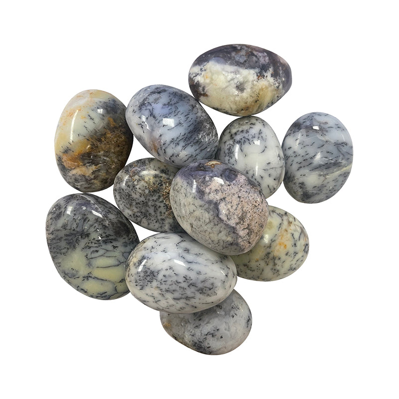 Galet poli Opale dendritique