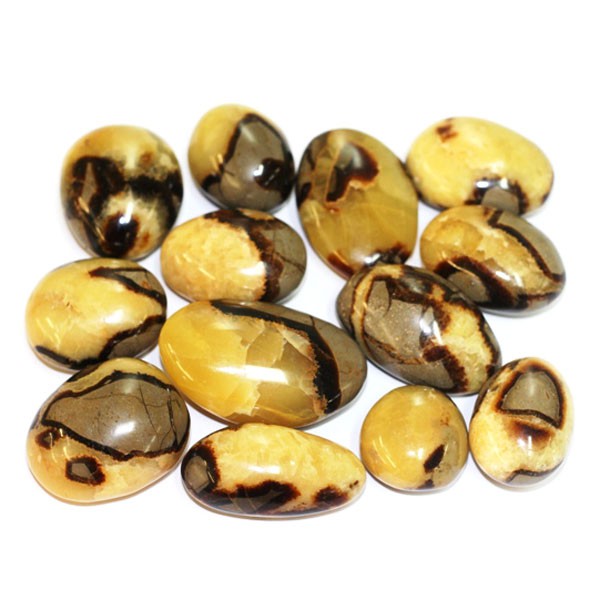 Galet poli Septaria jaune