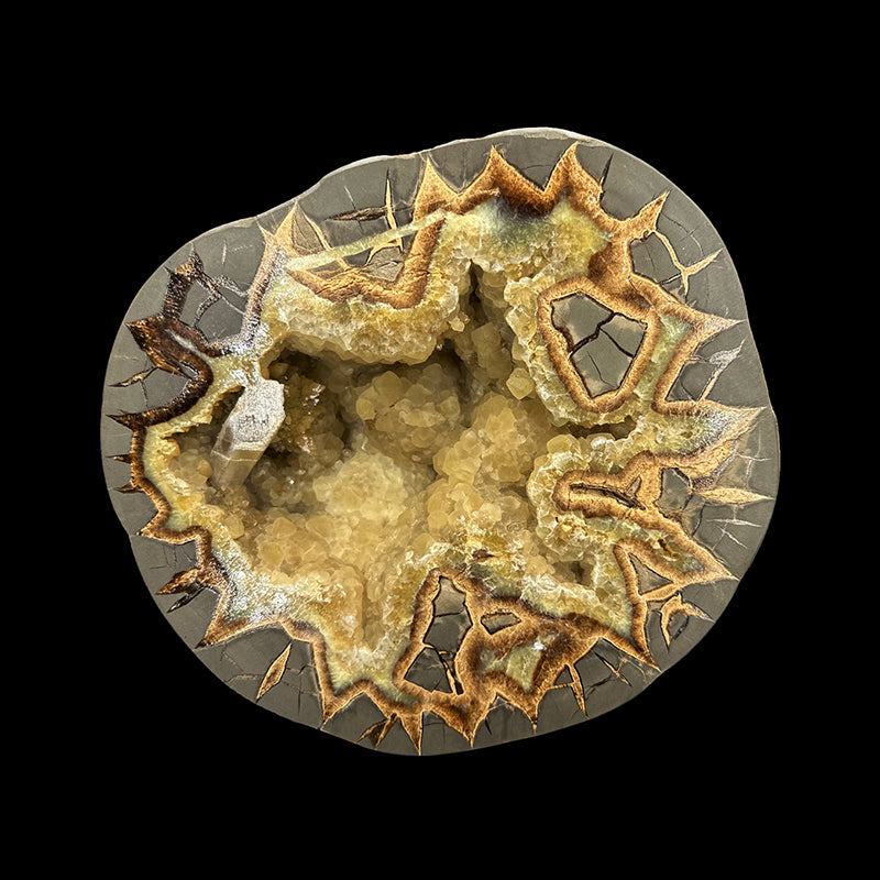 Géode Septaria 37