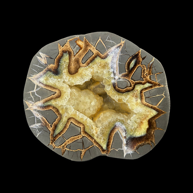 Géode Septaria 38