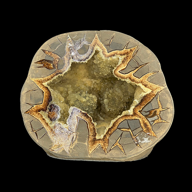 Géode Septaria 39