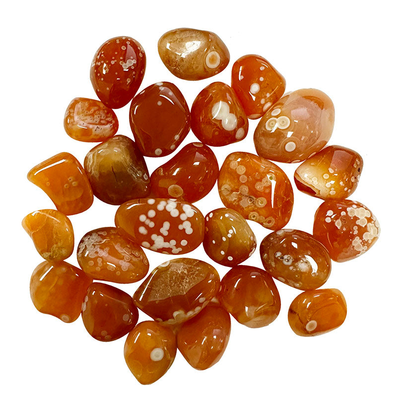 Pierre roulée Agate Cornaline Oeil