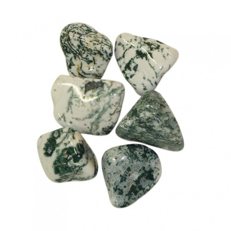 Pierre roulée Agate Dendritique