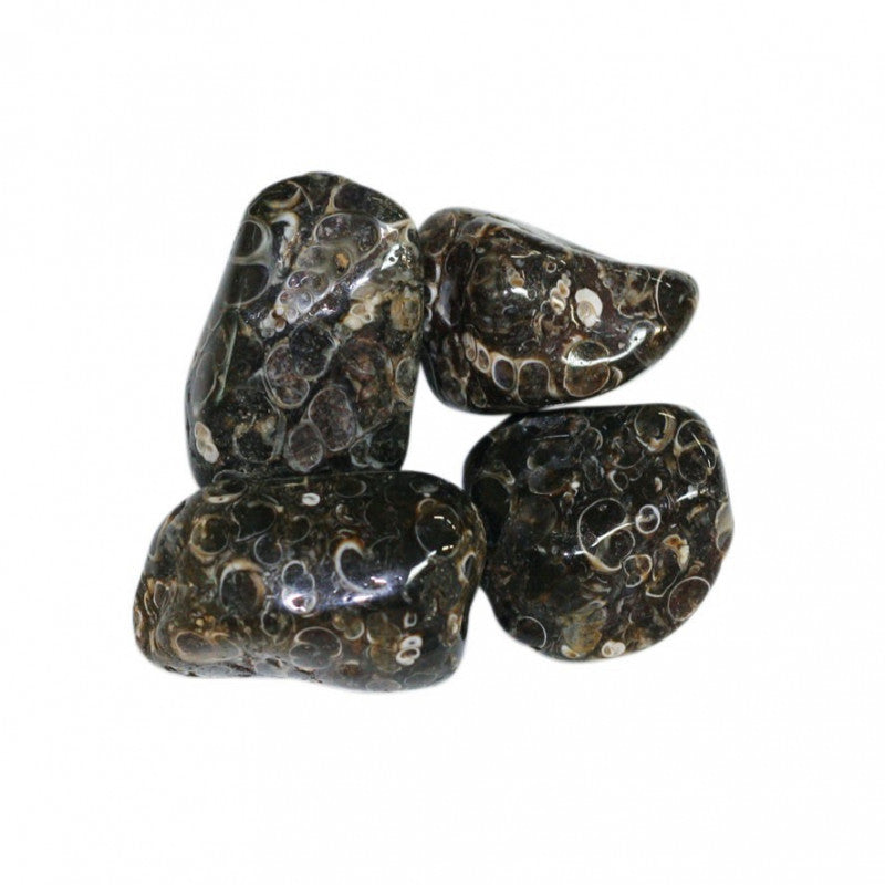 Pierre roulée Agate avec Turitelles