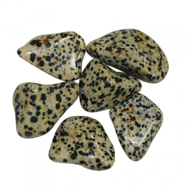 Pierre roulée Jaspe Dalmatien
