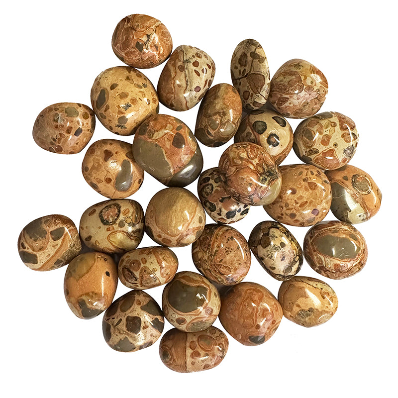 Pierre roulée Léopardite AAA