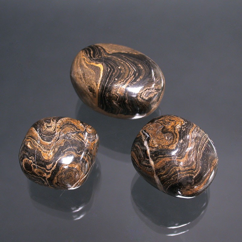 Pierre roulée Stromatolite