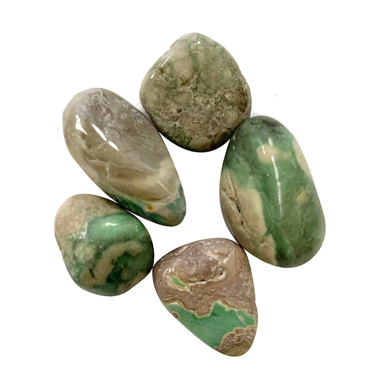 Pierre roulée Variscite AAA