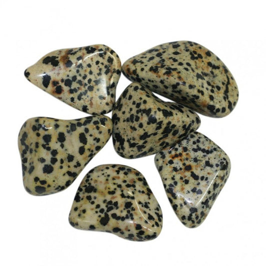 Pierre roulée Jaspe Dalmatien